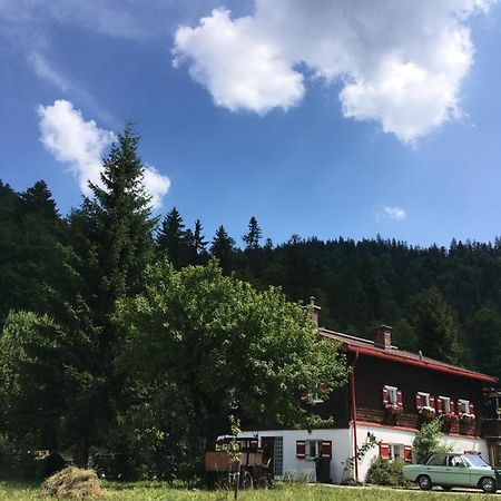 Gatterl Zum See Reit im Winkl Esterno foto