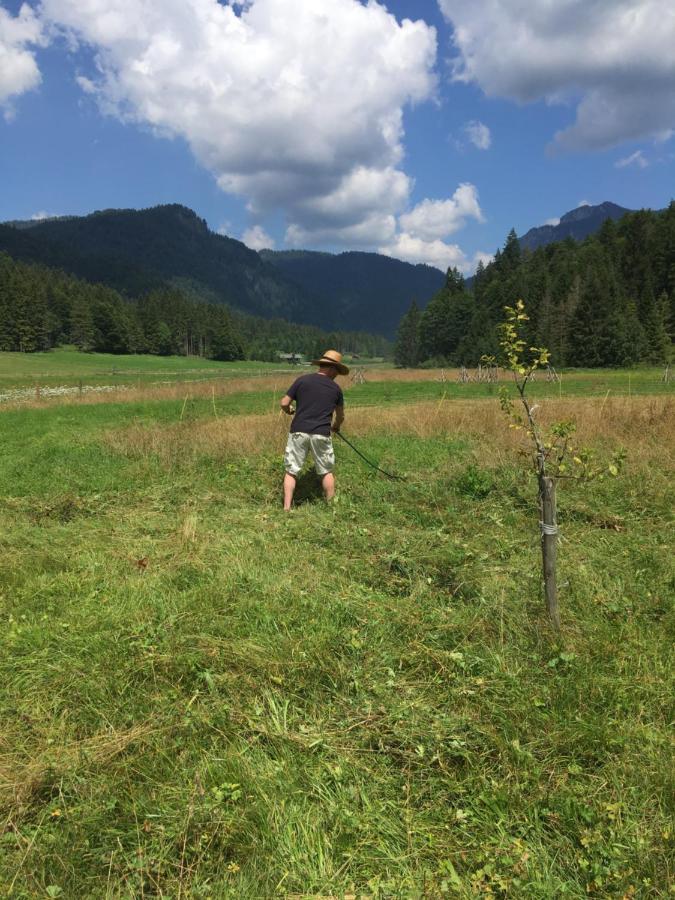Gatterl Zum See Reit im Winkl Esterno foto