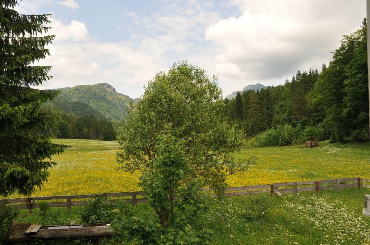 Gatterl Zum See Reit im Winkl Esterno foto