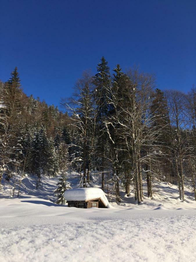 Gatterl Zum See Reit im Winkl Esterno foto