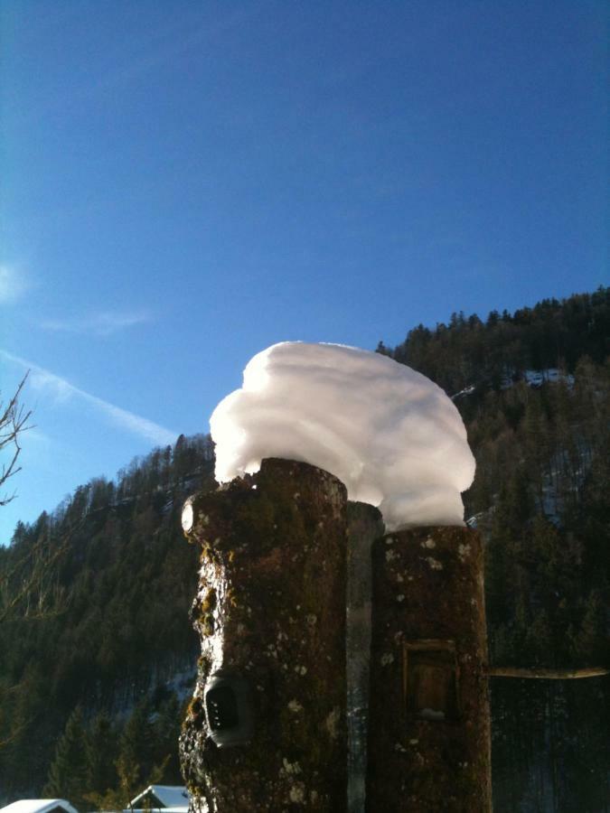 Gatterl Zum See Reit im Winkl Esterno foto